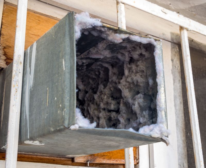 Air Duct Mold Removal in Fort Lauderdale, FL