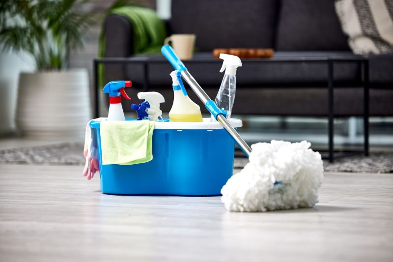 Basement Cleaning Service in Bellevue, WA