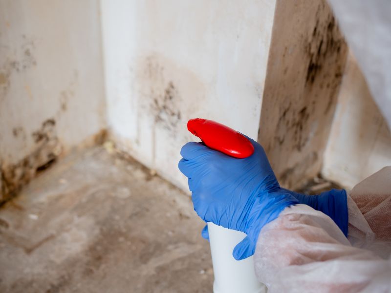 Basement Mold Remediation in Bergen County, NJ