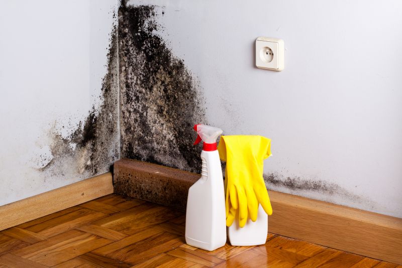 Basement Mold Remediation in Fort Worth, TX