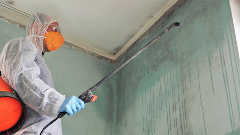 Basement Mold Removal in Bergen County, NJ