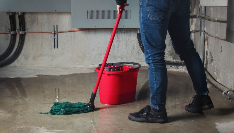 Basement Vacuuming in Renton, WA