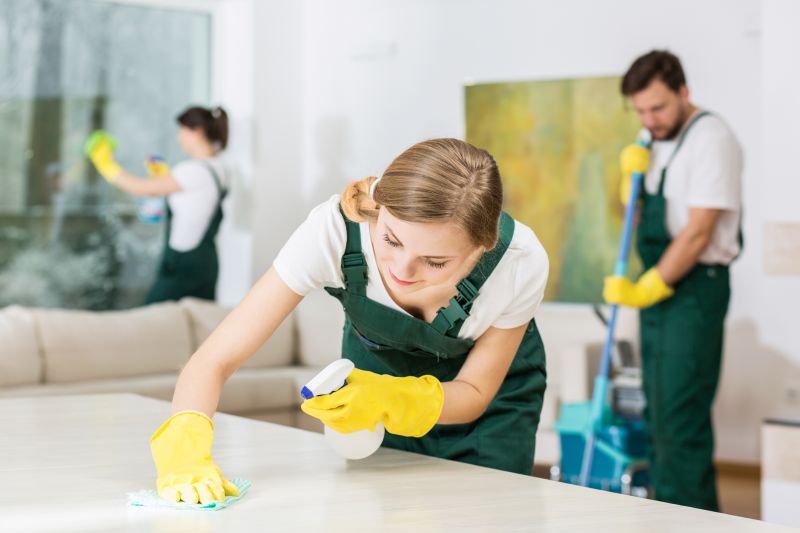 Basement Vacuuming in Conroe, TX