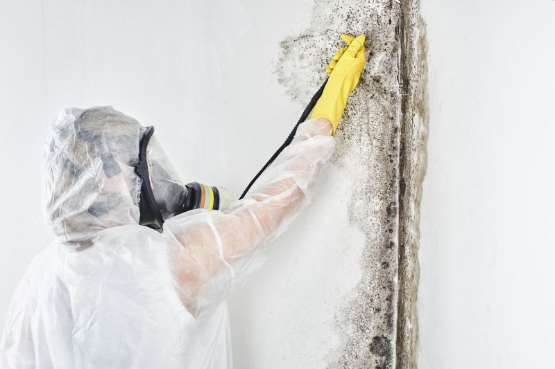 Black Mold Removal in Mckinney, TX