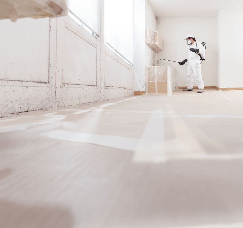 Crawl Space Mold Removal in Broward County, FL