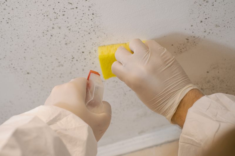Crawlspace Mold Remediation in Frisco, TX