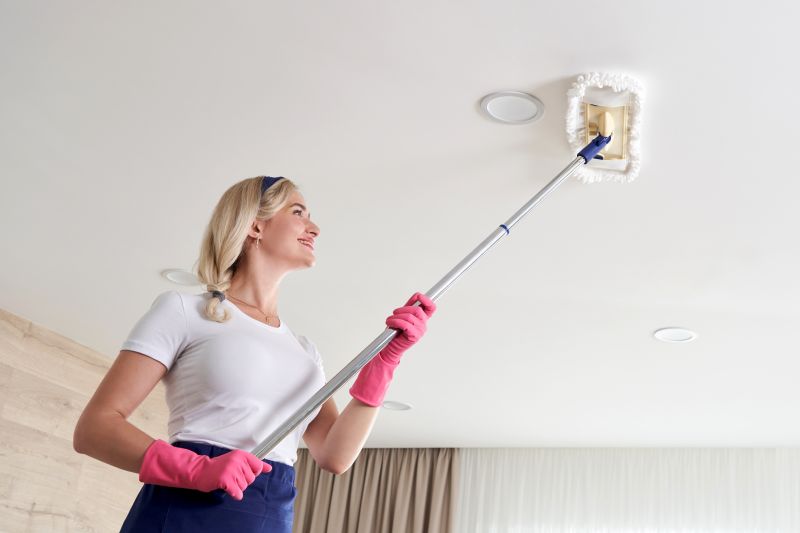 Ceiling and Wall Dusting