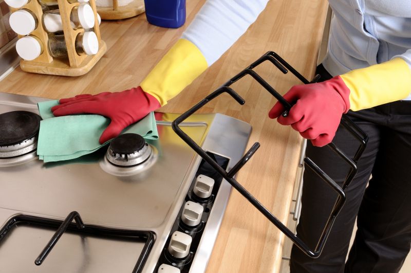 Kitchen Appliance Cleaning