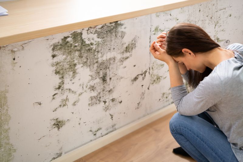Mold Abatement in Essex County, NJ