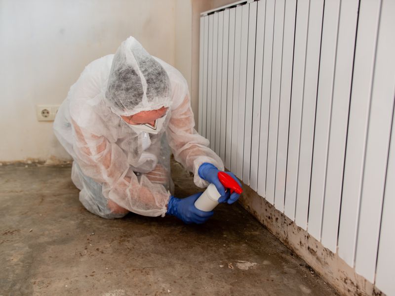 Mold Cleanup Service in Essex County, NJ