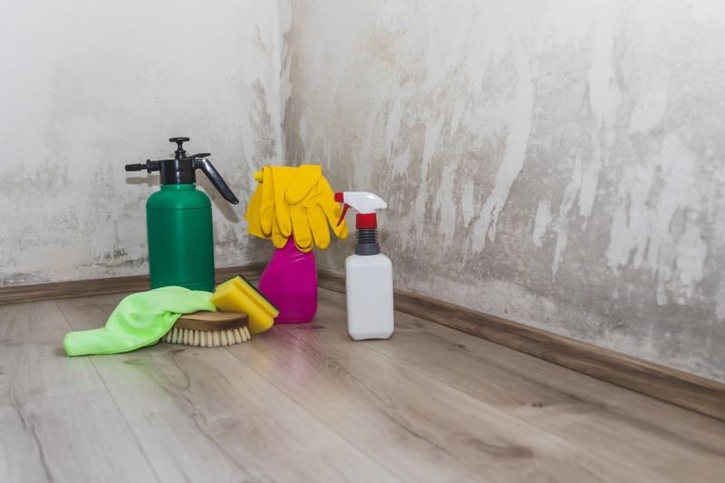 Mold Cleanup Service in West Palm Beach, FL