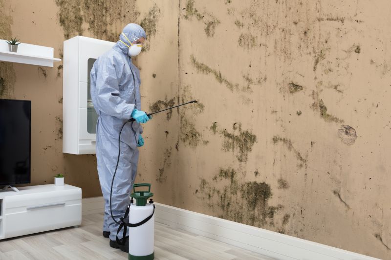 Mold Control in Boca Raton, FL