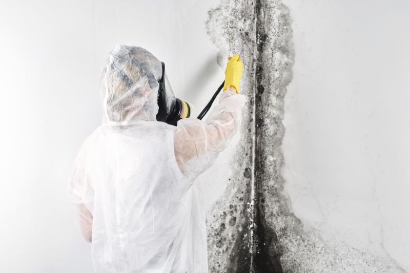 Mold Mitigation Service in Frisco, TX