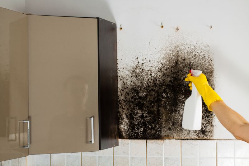Mold Removal in Essex County, NJ