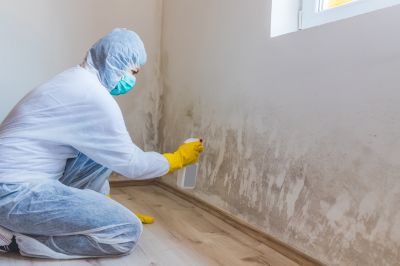 Mold Restoration in Fort Worth, TX