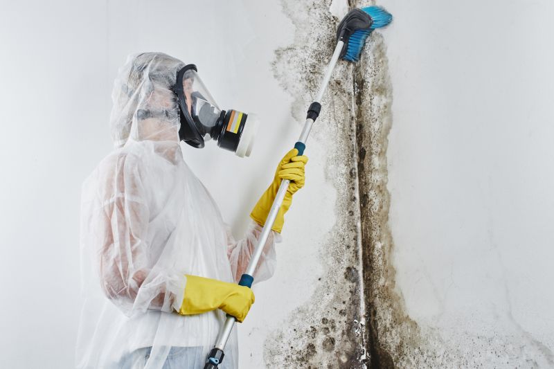Mold Treatment Service in West Palm Beach, FL