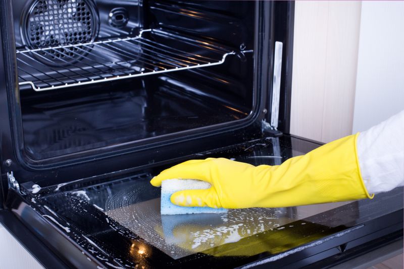 Sparkling Clean Oven