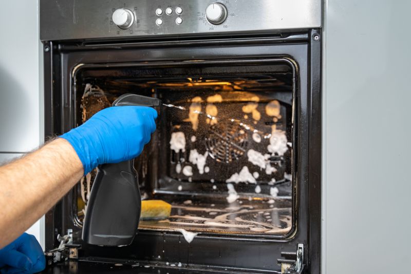 Professional Oven Cleaning