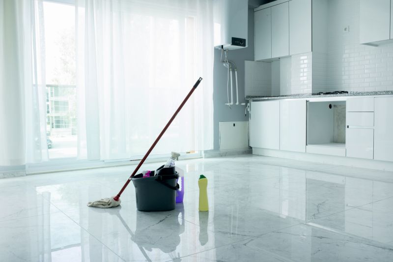 Tenancy Cleaning in Bellevue, WA