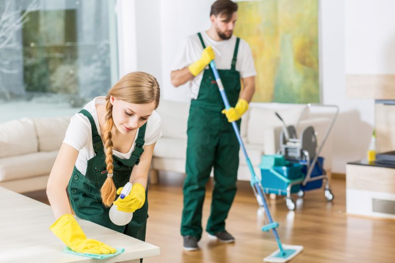 Townhouse Deep Cleaning in Renton, WA