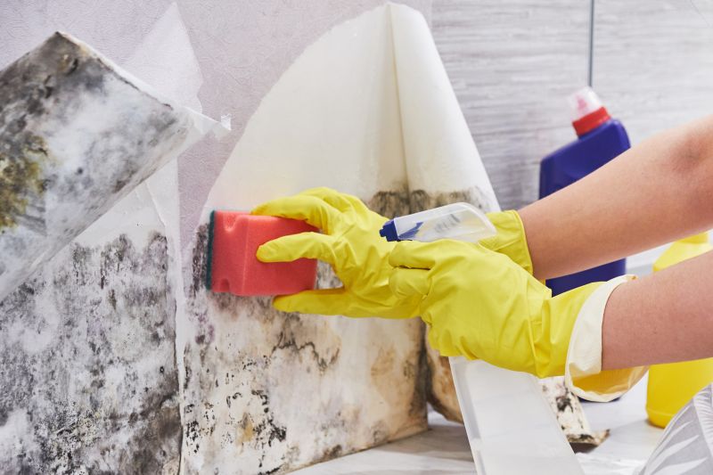 White Mold Mitigation in Fort Lauderdale, FL