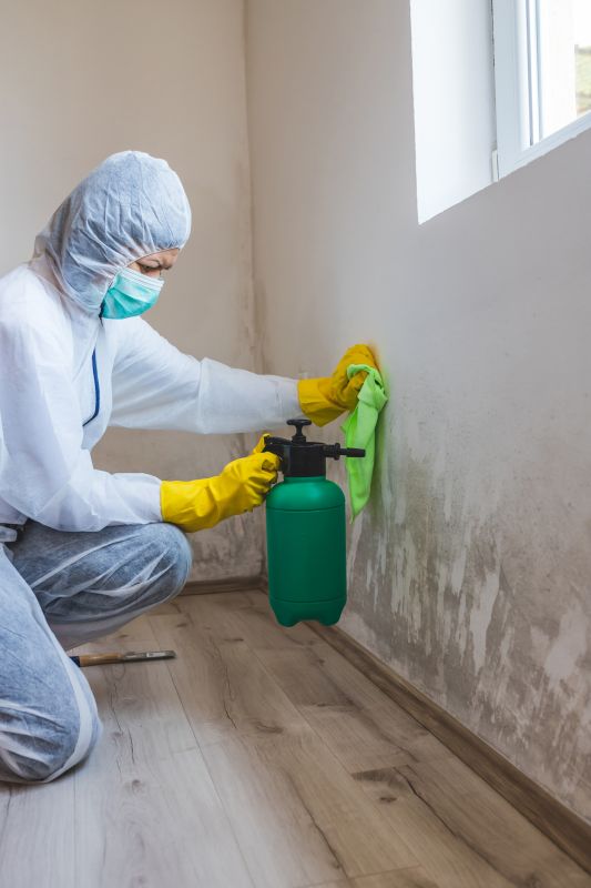 Attic Mold Removal in Fort Lauderdale, FL