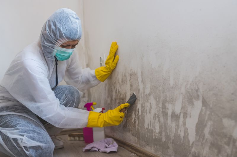 Crawl Space Mold Removal in Fort Worth, TX