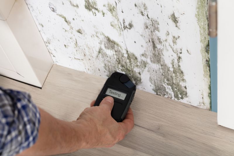 Mold Detection in Essex County, NJ